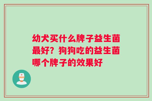 幼犬买什么牌子益生菌最好？狗狗吃的益生菌哪个牌子的效果好