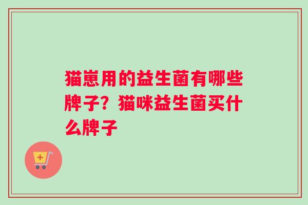 猫崽用的益生菌有哪些牌子？猫咪益生菌买什么牌子