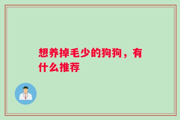 想养掉毛少的狗狗，有什么推荐