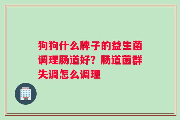 狗狗什么牌子的益生菌调理肠道好？肠道菌群失调怎么调理