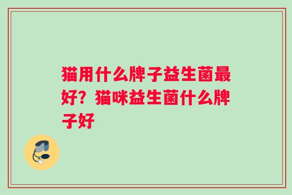 猫用什么牌子益生菌最好？猫咪益生菌什么牌子好