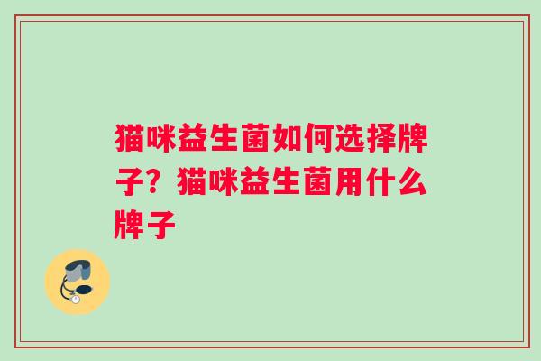 猫咪益生菌如何选择牌子？猫咪益生菌用什么牌子