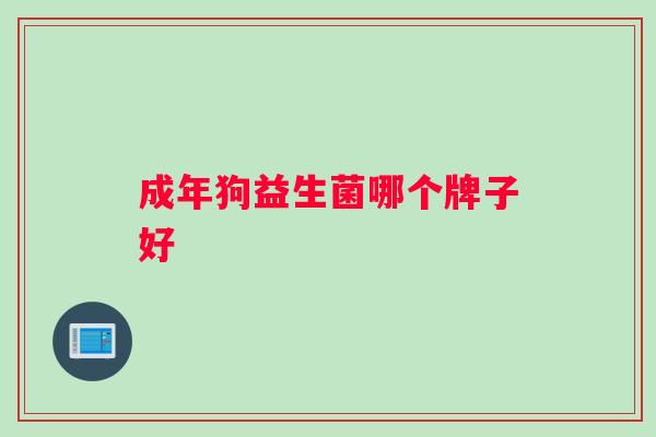 成年狗益生菌哪个牌子好