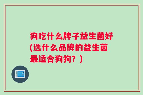 狗吃什么牌子益生菌好(选什么品牌的益生菌适合狗狗？)