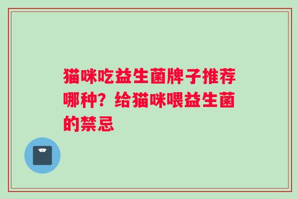 猫咪吃益生菌牌子推荐哪种？给猫咪喂益生菌的禁忌