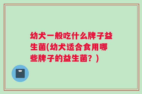 幼犬一般吃什么牌子益生菌(幼犬适合食用哪些牌子的益生菌？)