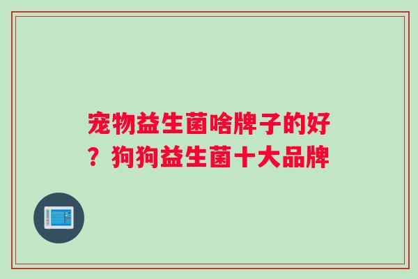 宠物益生菌啥牌子的好？狗狗益生菌十大品牌