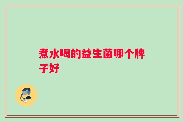 煮水喝的益生菌哪个牌子好