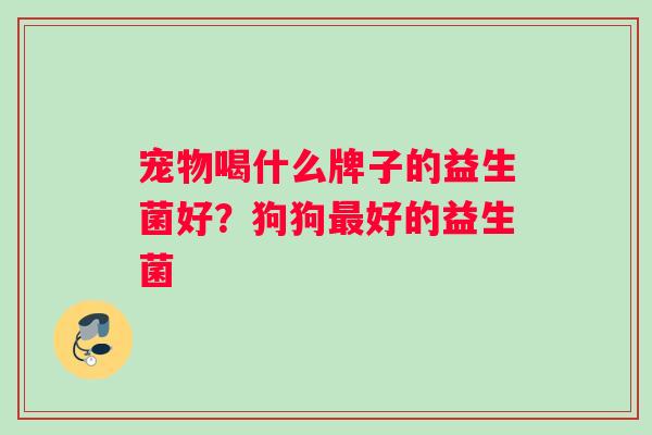 宠物喝什么牌子的益生菌好？狗狗最好的益生菌