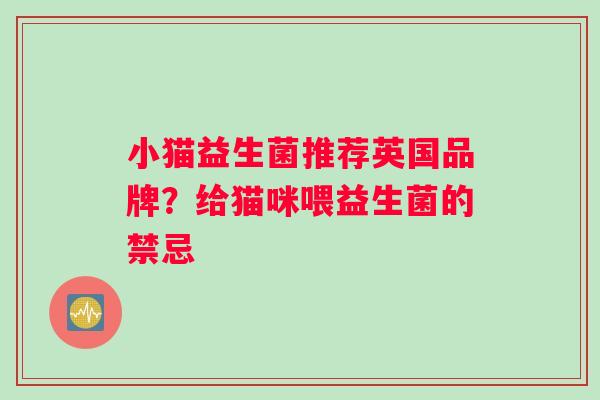 小猫益生菌推荐英国品牌？给猫咪喂益生菌的禁忌