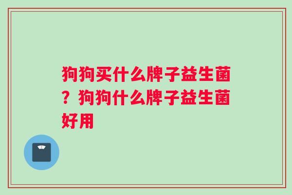狗狗买什么牌子益生菌?狗狗什么牌子益生菌好用 狗狗买什么牌子益生菌?狗狗什么牌子益生菌好用