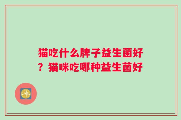 猫吃什么牌子益生菌好？猫咪吃哪种益生菌好