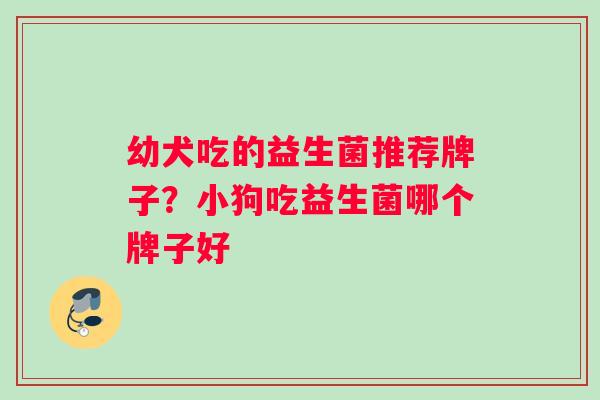 幼犬吃的益生菌推荐牌子？小狗吃益生菌哪个牌子好