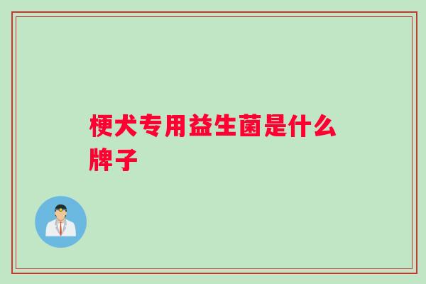 梗犬专用益生菌是什么牌子