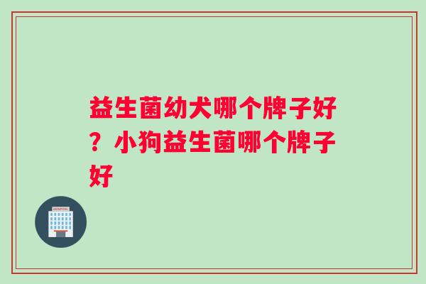 益生菌幼犬哪个牌子好？小狗益生菌哪个牌子好