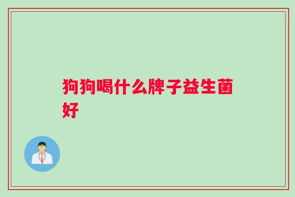 狗狗喝什么牌子益生菌好