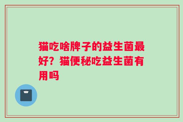 猫吃啥牌子的益生菌好？猫吃益生菌有用吗