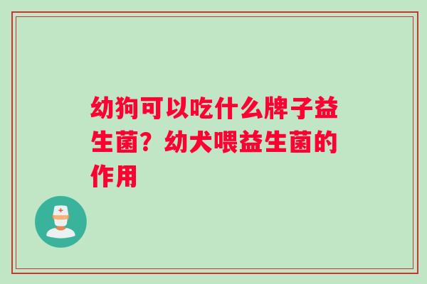 幼狗可以吃什么牌子益生菌？幼犬喂益生菌的作用
