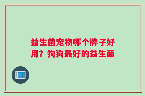 益生菌宠物哪个牌子好用？狗狗好的益生菌