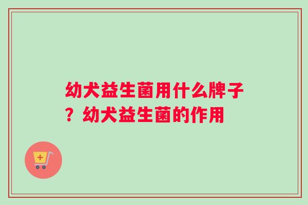 幼犬益生菌用什么牌子？幼犬益生菌的作用