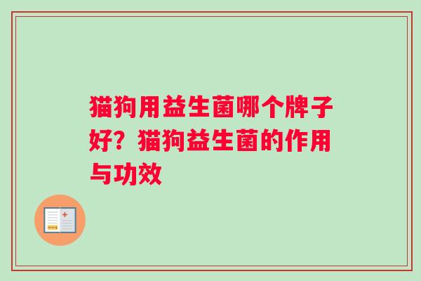 猫狗用益生菌哪个牌子好？猫狗益生菌的作用与功效