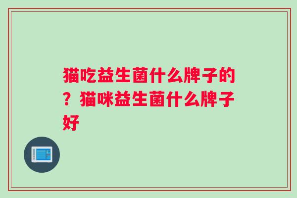 猫吃益生菌什么牌子的？猫咪益生菌什么牌子好