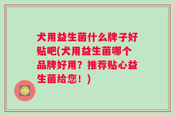 犬用益生菌什么牌子好贴吧(犬用益生菌哪个品牌好用？推荐贴心益生菌给您！)