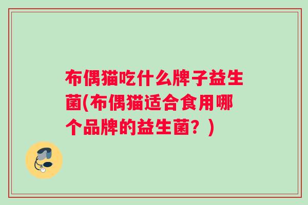 布偶猫吃什么牌子益生菌(布偶猫适合食用哪个品牌的益生菌？)