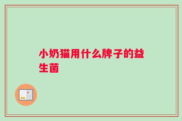 小奶猫用什么牌子的益生菌