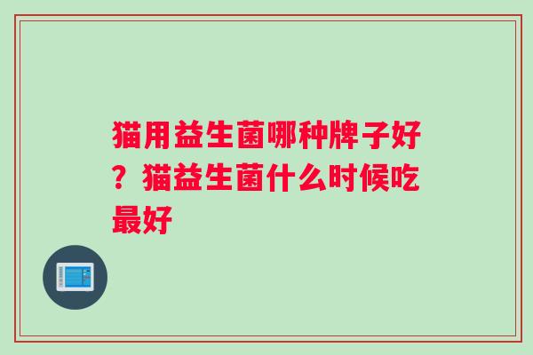 猫用益生菌哪种牌子好？猫益生菌什么时候吃最好
