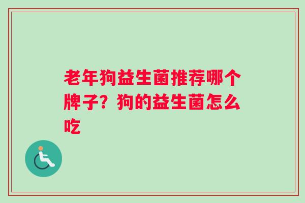 老年狗益生菌推荐哪个牌子？狗的益生菌怎么吃