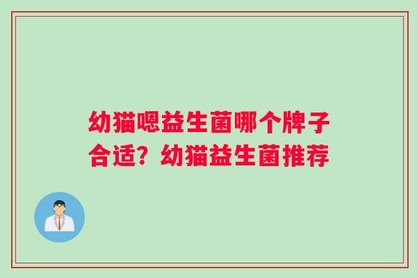 幼猫嗯益生菌哪个牌子合适？幼猫益生菌推荐