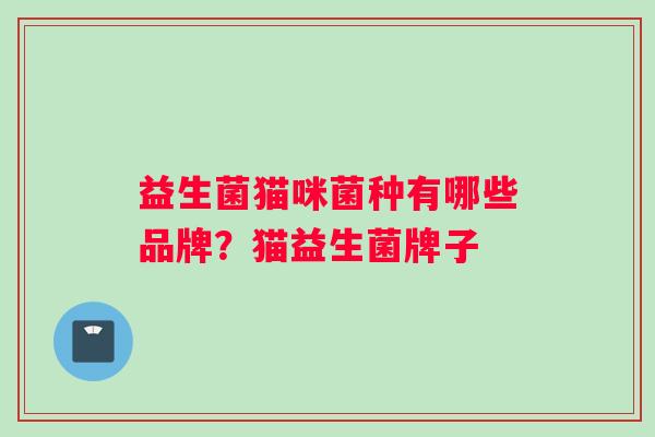 益生菌猫咪菌种有哪些品牌？猫益生菌牌子