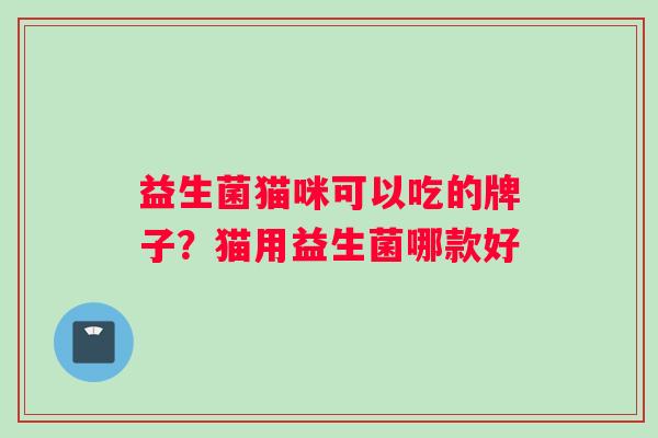 益生菌猫咪可以吃的牌子？猫用益生菌哪款好