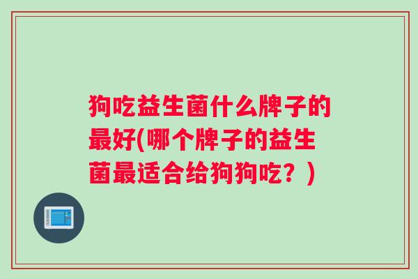 狗吃益生菌什么牌子的好(哪个牌子的益生菌适合给狗狗吃？)