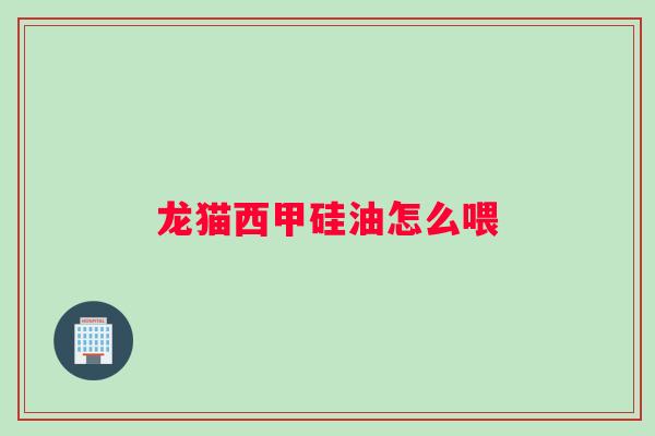 龙猫西甲硅油怎么喂 龙猫西甲硅油怎么喂