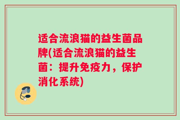 适合流浪猫的益生菌品牌(适合流浪猫的益生菌：提升免疫力，保护消化系统)
