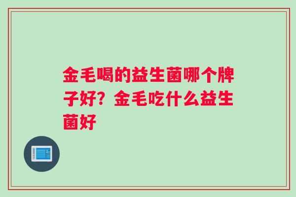 金毛喝的益生菌哪个牌子好？金毛吃什么益生菌好