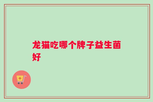 龙猫吃哪个牌子益生菌好