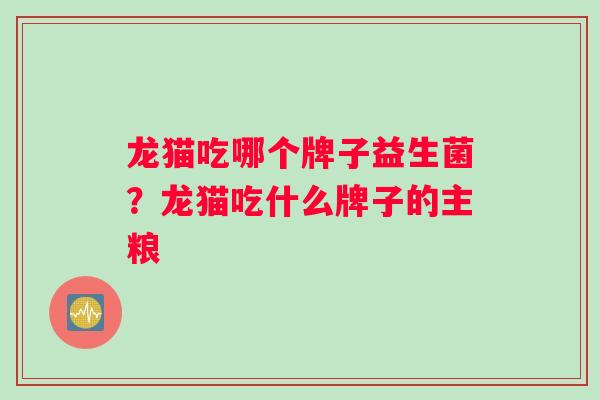 龙猫吃哪个牌子益生菌？龙猫吃什么牌子的主粮