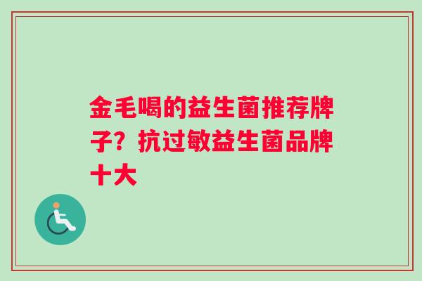 金毛喝的益生菌推荐牌子？抗过敏益生菌品牌十大