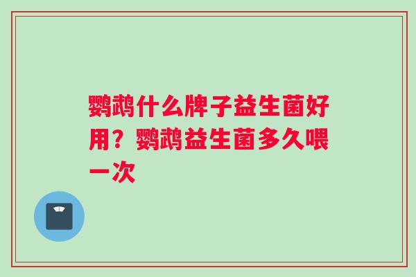 鹦鹉什么牌子益生菌好用？鹦鹉益生菌多久喂一次