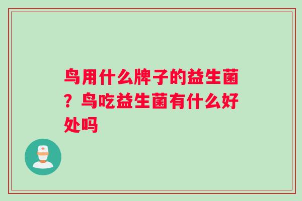 鸟用什么牌子的益生菌？鸟吃益生菌有什么好处吗