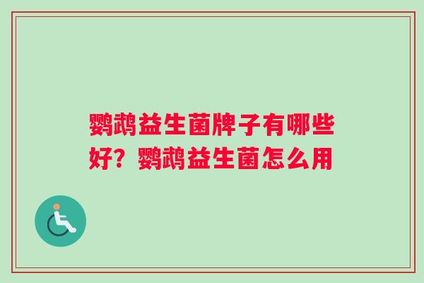 鹦鹉益生菌牌子有哪些好？鹦鹉益生菌怎么用