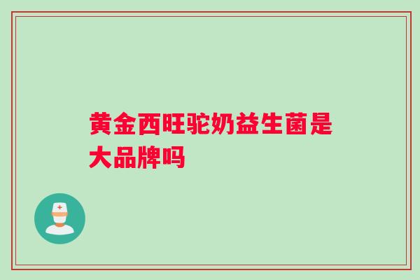 黄金西旺驼奶益生菌是大品牌吗