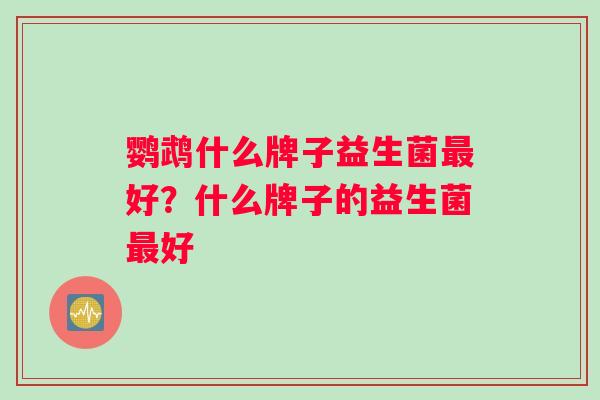 鹦鹉什么牌子益生菌最好？什么牌子的益生菌最好