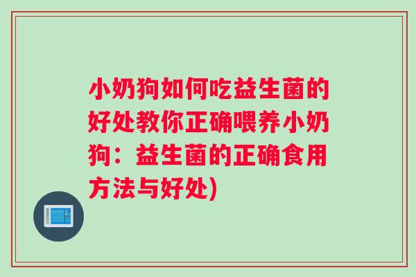 小奶狗如何吃益生菌的好处教你正确喂养小奶狗：益生菌的正确食用方法与好处)