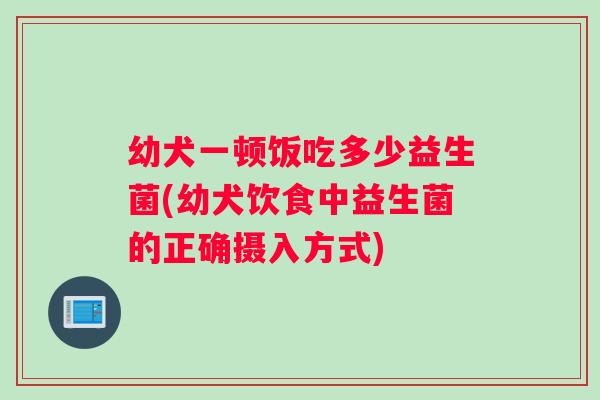 幼犬一顿饭吃多少益生菌(幼犬饮食中益生菌的正确摄入方式)