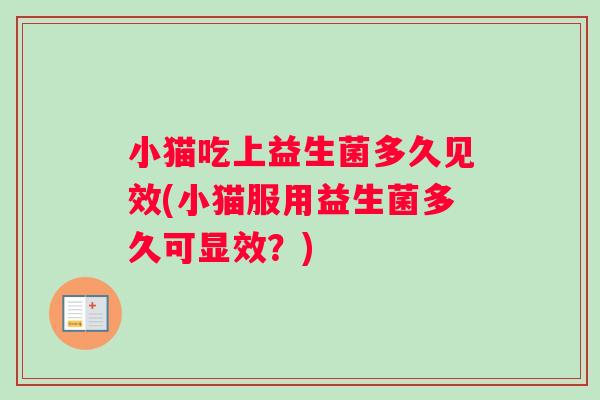 小猫吃上益生菌多久见效(小猫服用益生菌多久可显效？)