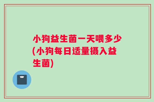 小狗益生菌一天喂多少(小狗每日适量摄入益生菌)